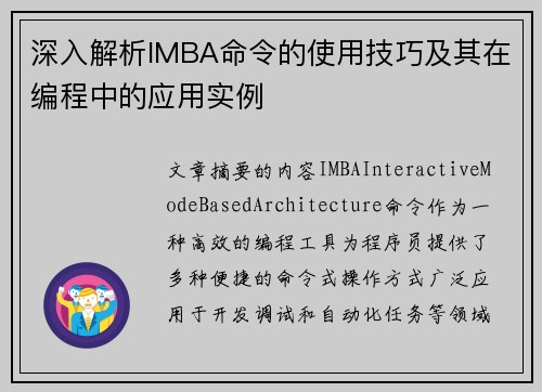 深入解析IMBA命令的使用技巧及其在编程中的应用实例